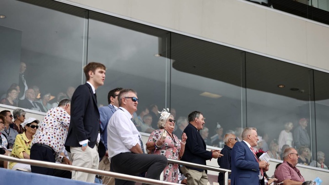 Thousands descend on Addington Raceway for the NZ Cup. Photo / George Heard