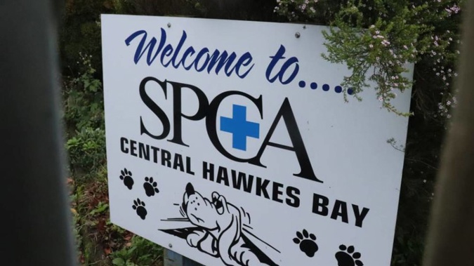 SPCA says its services will still be available in Central Hawke's Bay as its staff will still visit the district and it is partnering with a local vet. (Photo / Tom Kitchin)