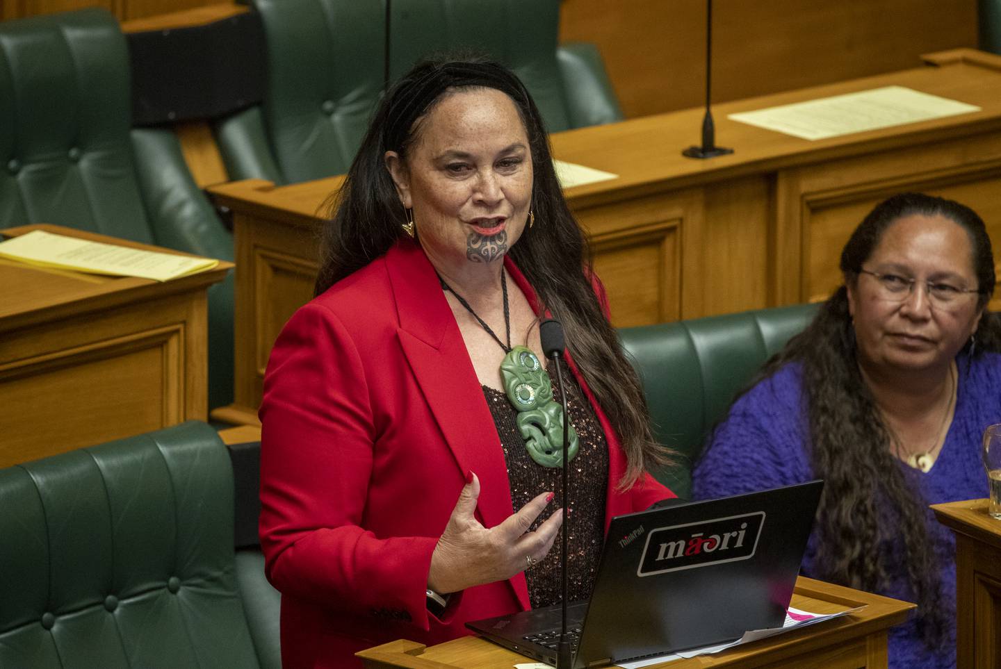 Te Pāti Māori co-leader Debbie Ngarewa-Packer. Photo / Mark Mitchell