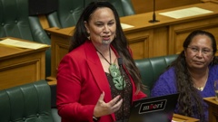 Te Pāti Māori co-leader Debbie Ngarewa-Packer. Photo / Mark Mitchell