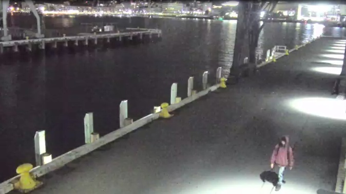 In 2021, Sandy Calkin was captured on CCTV footage walking north on Queens Wharf before his body was found in the water.