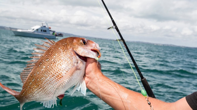 The holiday season is when people take the most risks, experts say. Photo / Michael Craig