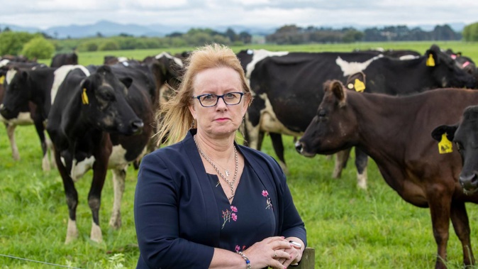 Former National Party agriculture spokeswoman Barbara Kuriger. Photo / Mark Mitchell
