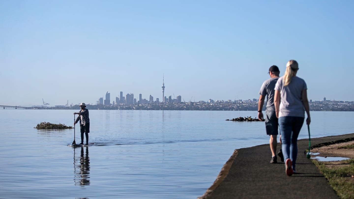 Kiwibank economic outlook: Brighter days ahead with 2026 recovery tipped