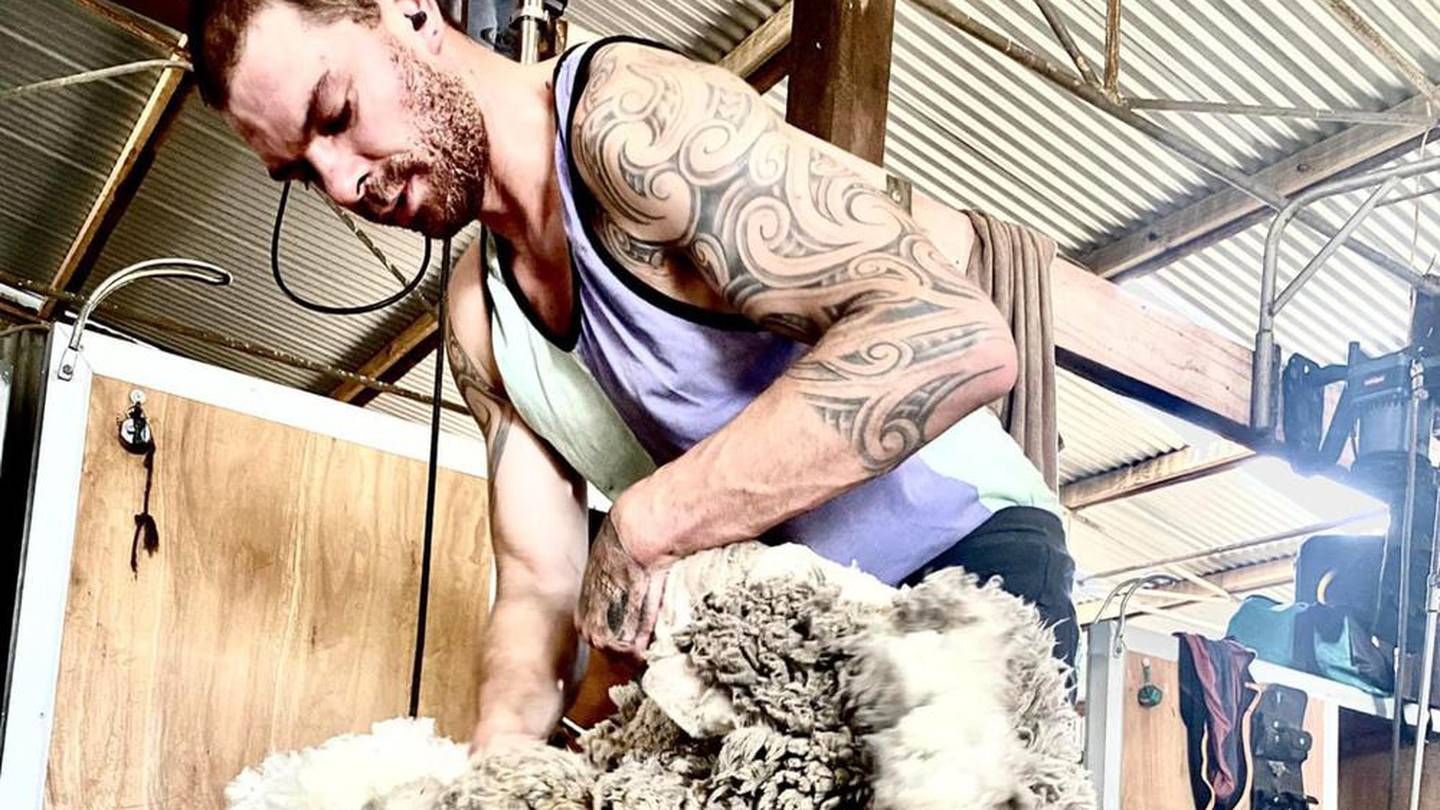 Kiwi shearer Andrew Moore has died in the USA. Photo / Givealittle