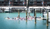 Anniversary Day Regatta dragon boats wait in the Viaduct Harbour to compete in downtown Auckland. Photo / Alex Robertson