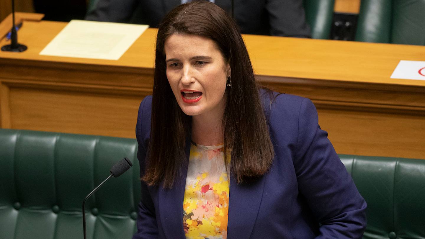 National MP Nicola Willis during her first Question Time as finance spokesperson. (Photo / Mark Mitchell)