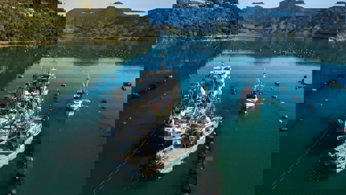 Sanford chief executive Peter Reidie said selling the lobster quota would help the company grow its salmon and mussel (pictured) businesses. (Photo / Supplied)