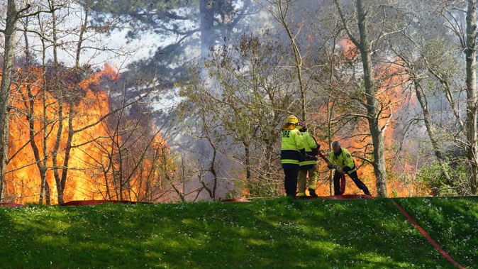 Firefighters at the blaze at Kowhai Park. Photo / Steve Carle