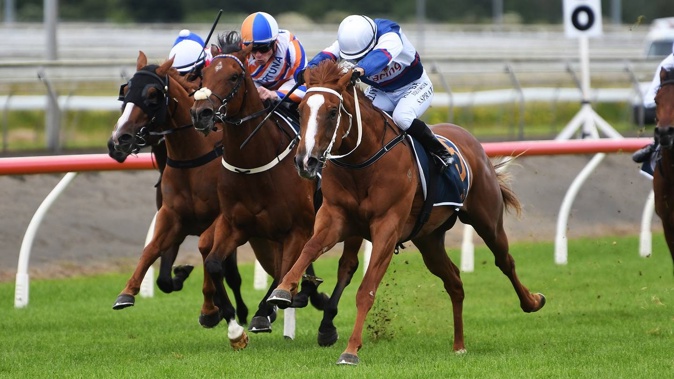 The new Champions Day run at Ellerslie on March 8, 2025 will be one of the richest sporting events ever held in New Zealand.