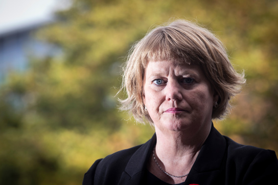 Pharmac chief executive Sarah Fitt. Photo / Jason Oxenham