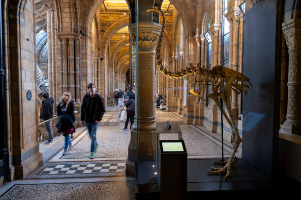 (photo by Mike Kemp/In Pictures via Getty Images)