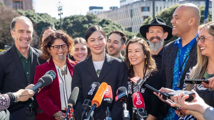 New Greens MPs (from left): Scott Willis, Darleen Tana, Tamatha Paul, Lan Pham, Steve Abel, Efeso Collins and Hūhana Lyndon. Photo / Mark Mitchell