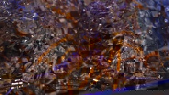 Demand for live crayfish soar at restaurants during the Lunar New Year festive season.