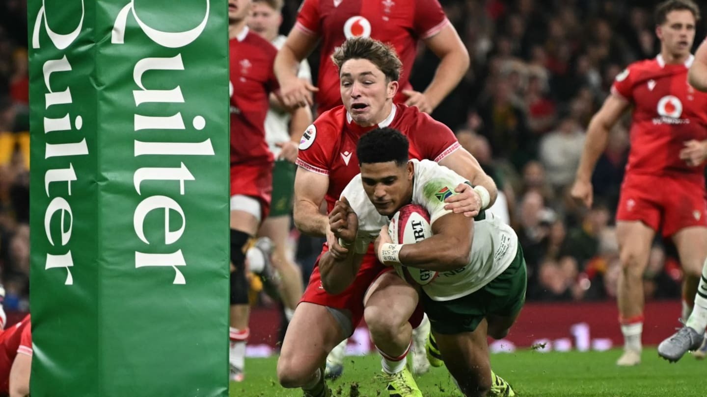 Springboks crush Wales 73-0 in historic test demolition