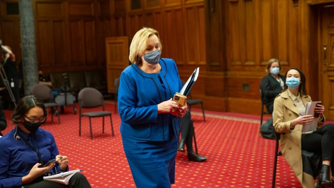 National leader Judith Collins arriving for her standup at Parliament. (Photo / Mark Mitchell)