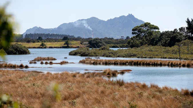 The body of a Northland man was located in the Ruakākā River. Photo / NZME
