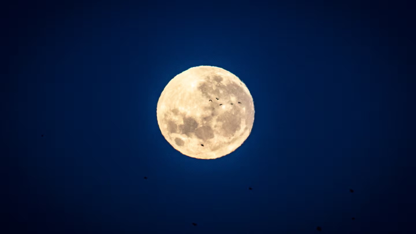 Tonight's supermoon will be just under 357,000km from Earth. Photo / Michael Craig