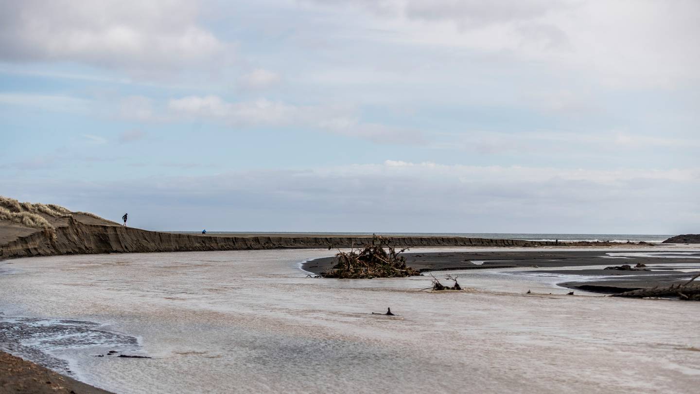 A person with Covid-19 had to be dragged from the surf at Bethells Beach yesterday. Photo / Michael Craig