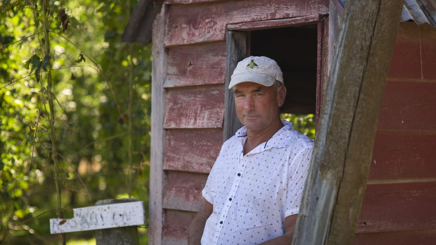 Wife was 'laughing and talking' with husband on riverbank as tree fatally hit him