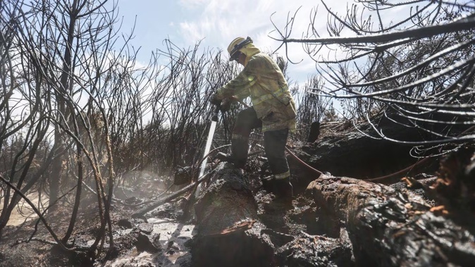 Firefighters continued their efforts on Saturday as they work to dampen down remaining hot spots and create a buffer zone around the 24km perimeter fire ground in Christchurch's Port Hills. Photo / Chris Skelton