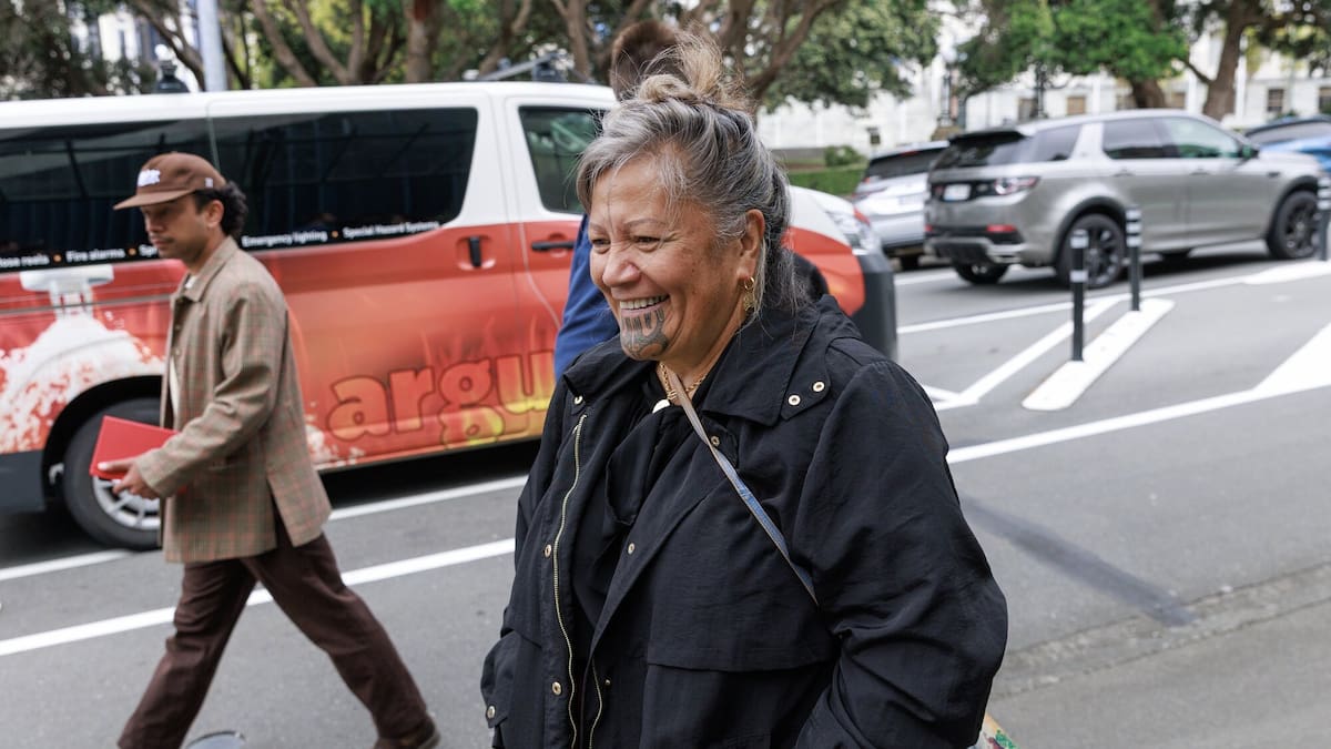 Te Pāti Māori v Mariameno Kapa-Kingi: Former MP challenges expulsion in court 