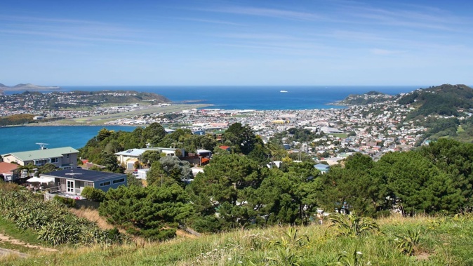 More people are going head-to-head, competing for a limited number of roles. Photo / NZ Herald