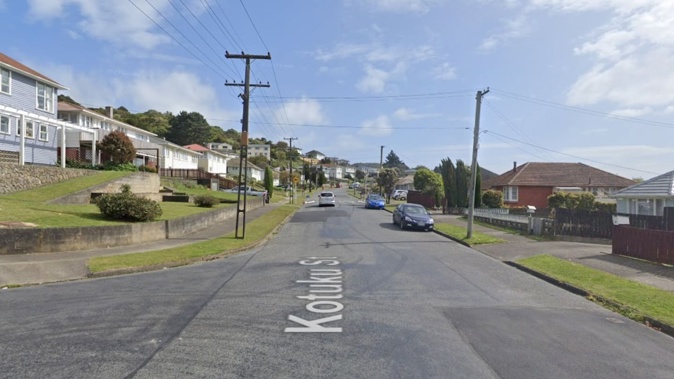 Emergency services were called to a property in Kotuku St, Elsdon. Image / Google Maps