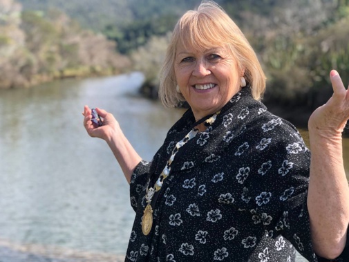 Thames-Coromandel Mayor Sandra Goudie. (Photo / NZ Herald)