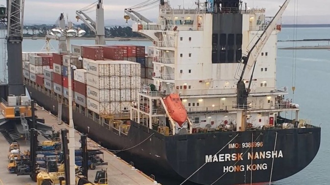 A union has called for tougher laws to protect workers on foreign ships after a worker plunged 12m into the sea when a guard rail gave way on the Maersk Nansha while tied up at Port Nelson. Photo / Stephen Overton.