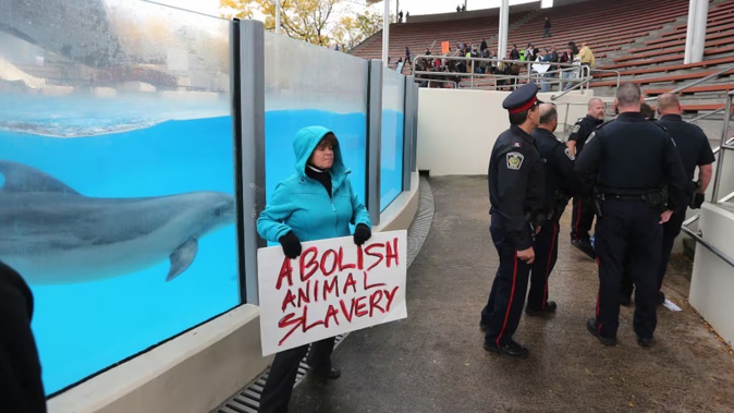 Marineland, at Niagara Falls, has been at the centre of controversy for years over allegations of animal abuse. Photo / Steve Russell