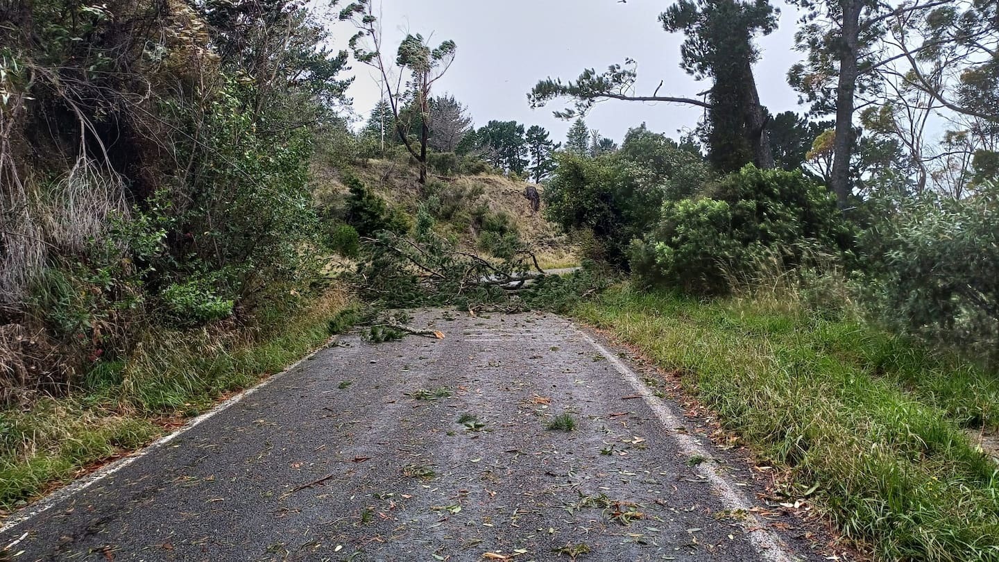 Hawke’s Bay wild weather: Trees down, over 1000 homes without power, schools close