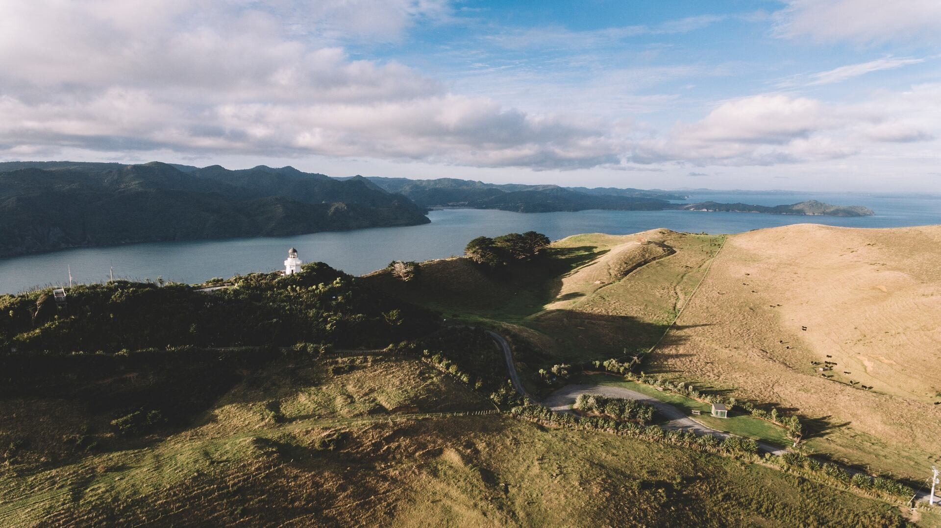A police officer has been struck by a vehicle and the driver shot at by police during a search warrant execution in Āwhitu this morning.