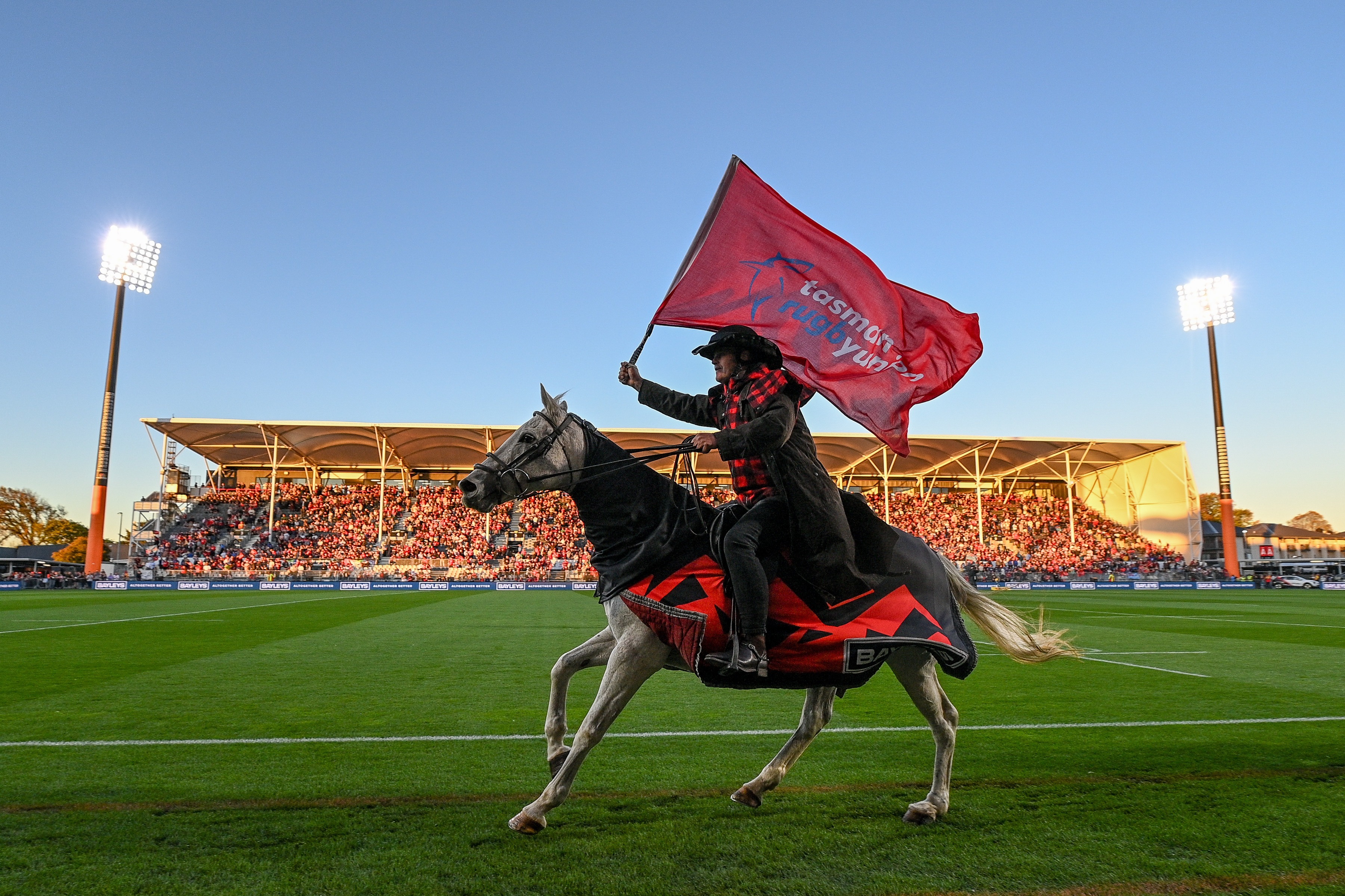 'Not the safest': Venues Otautahi head explains why Crusaders’ matchday horses retired