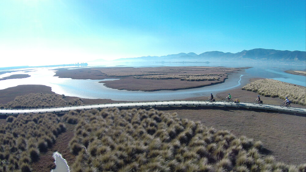 Great Taste Trail in Tasman. Photo / Kiwi Journeys