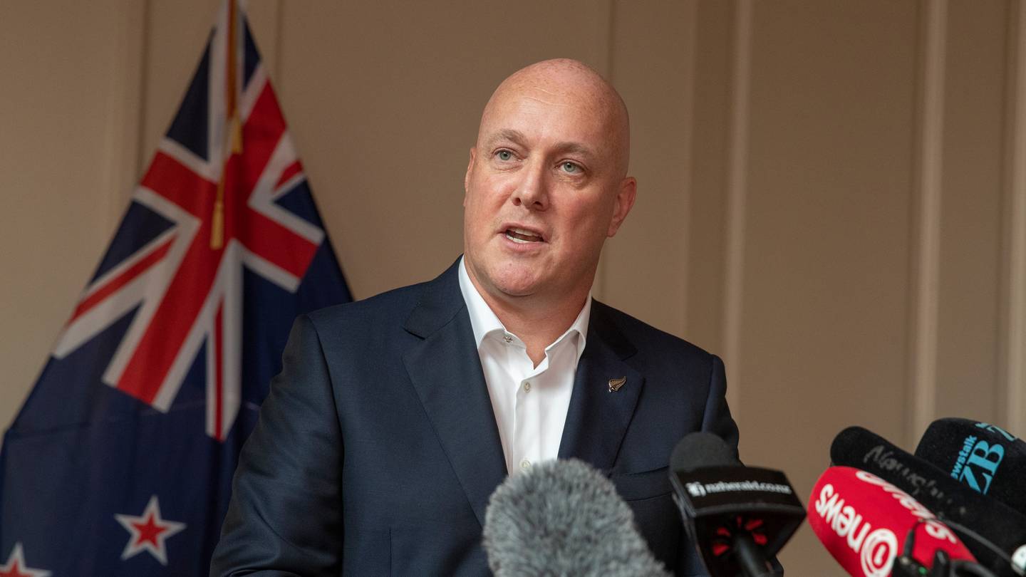 Christopher Luxon. (Photo / Mark Mitchell)