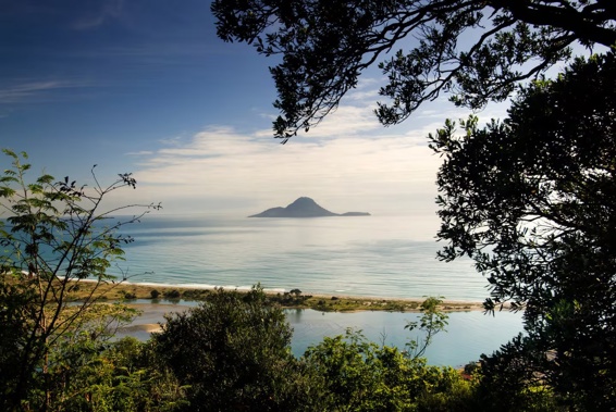 The incident happened on the water near Moutohora Island, Whakatāne.