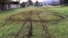 Damaged grass at the reserve between Susan St and Homedale St in Rotorua. Photo / Ben Fraser