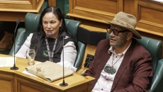 Chris Hipkins: Labour Leader talks Te Pati Maori, parliamentary standards, political violence