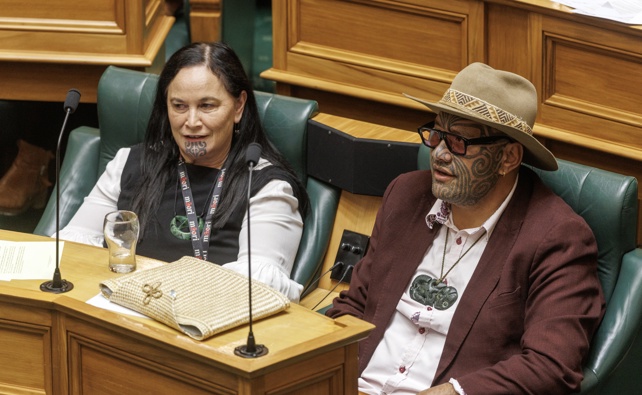 Te Pati Maori co-leaders Debbie Ngarewa-Packer, left, and Rawiri Waititi during question time in Parliament, Wellington, 08 October 2025. Herald photograph by Mark Mitchell