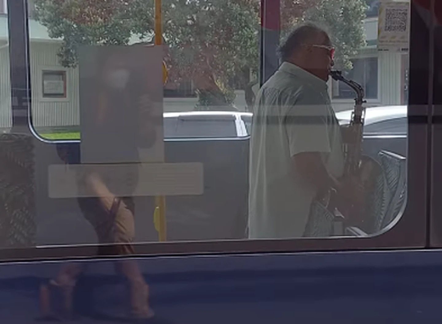 The musical moment was caught on video. (Photo / James Stonley)