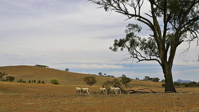 The Government has announced support for Southern farmers and growers as they deal with the impacts of the current drought. (Photo / ODT)