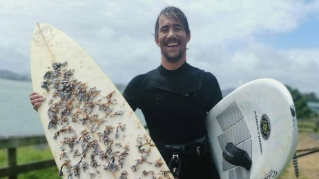 Surfboard lost in Australia washes up in Raglan 2400km away