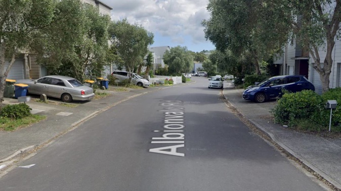 A section of Albionvale Rd, Glen Eden, Auckland. Photo / Google Street View
