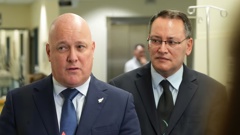 Prime Minister Christopher Luxon and Health Minister Dr Shane Reti have been critical of the former Health NZ board. Photo / Ben Dickens