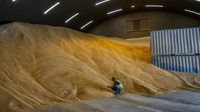 Last year, more than a million tonnes of animal stock feed was produced in New Zealand.