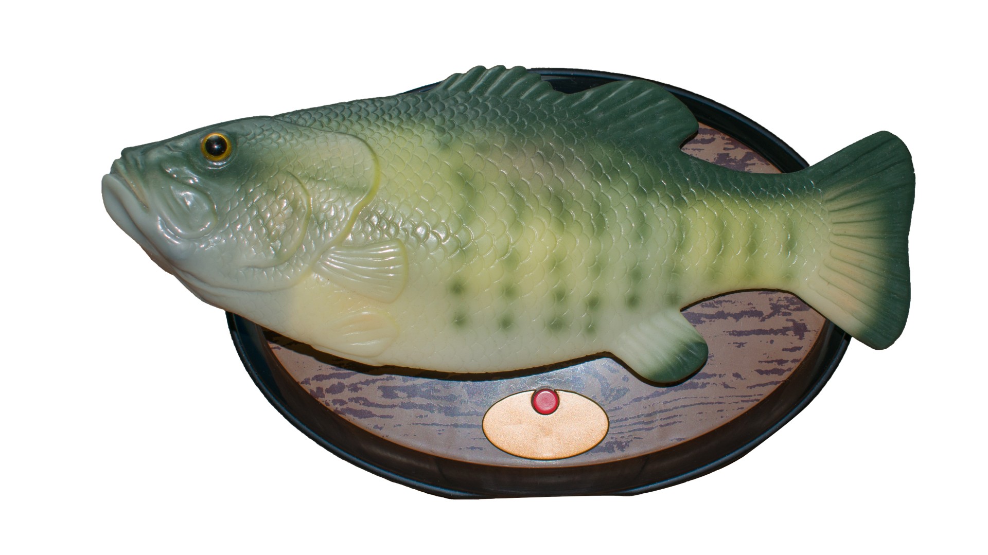 (Photo / Getty Images)