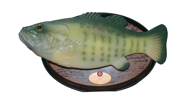 (Photo / Getty Images)