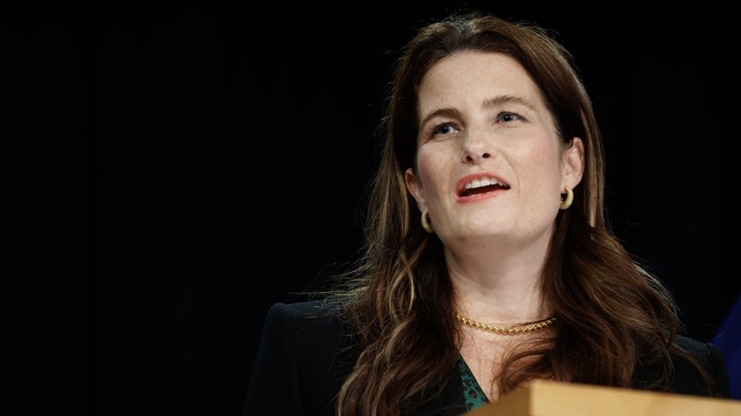 Finance Minister Nicola Willis has not asked for an estimated price tag. Photo / Mark Mitchell.