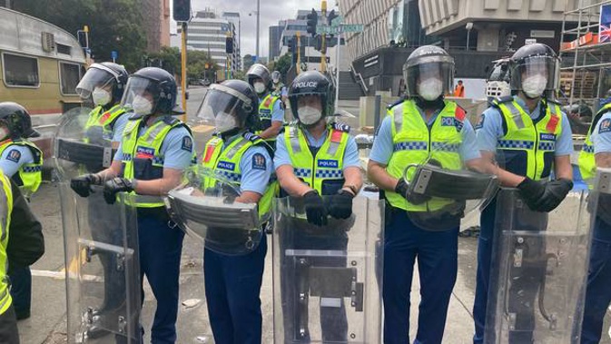 (Photo / NZ Herald)